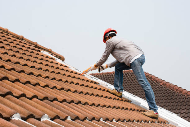 Best Hot Roofs  in Lemont, IL