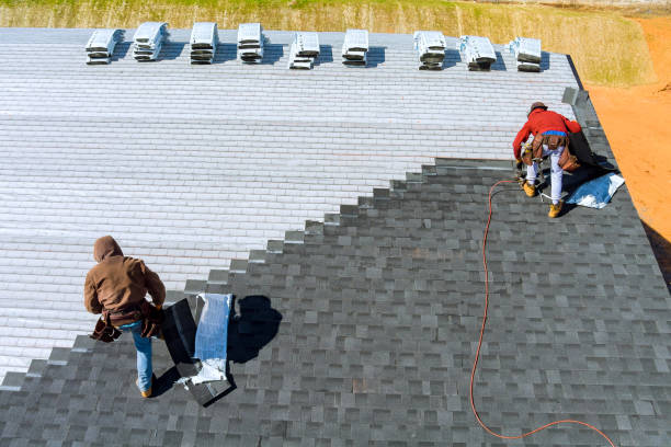 Best Roof Ventilation Installation  in Lemont, IL