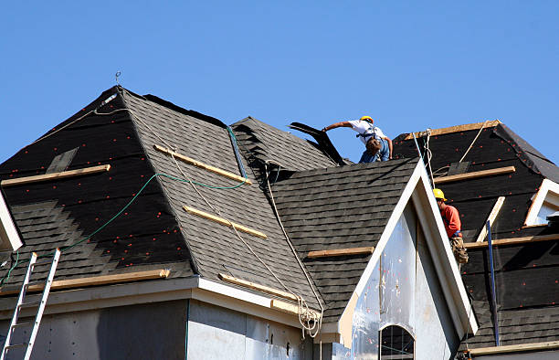 Best Roof Moss and Algae Removal  in Lemont, IL
